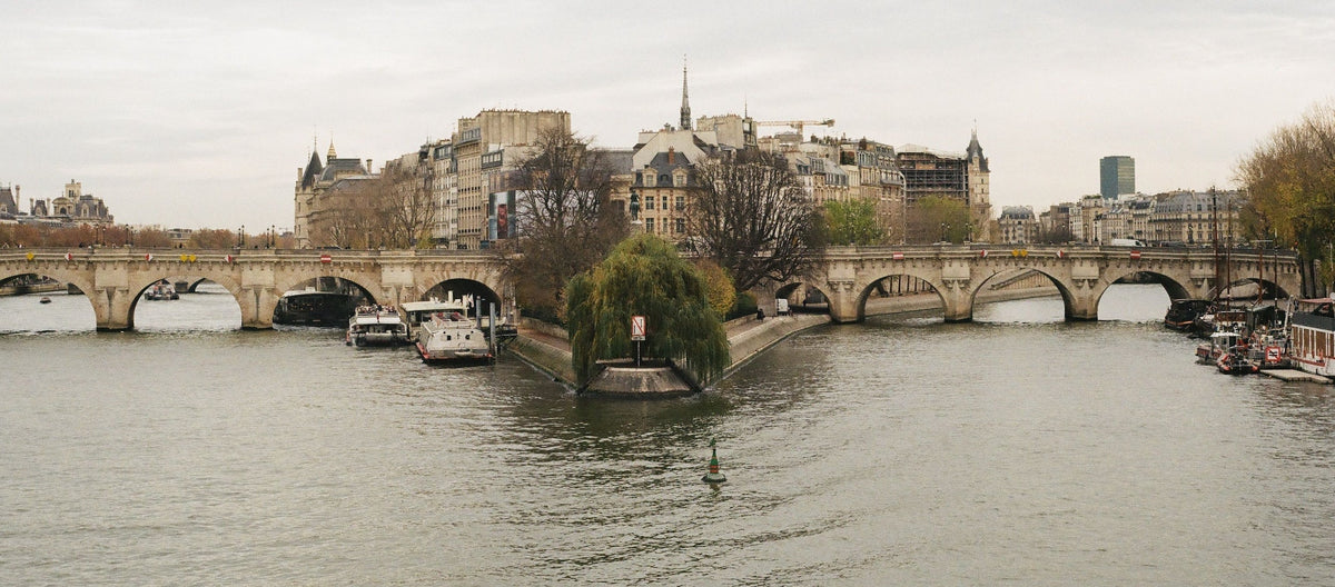 La Seine enlace majestueusement la pointe de l'Île de la Cité et le Square du Vert-Galant sous un ciel parisien.